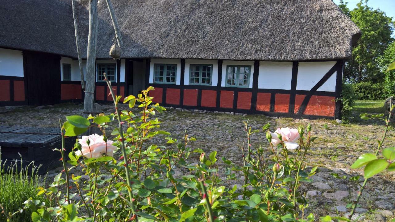 Thurup Hus Assens Zewnętrze zdjęcie