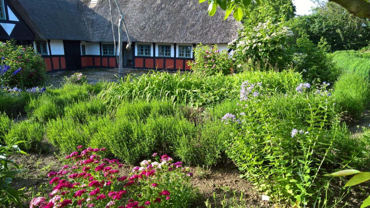 Thurup Hus Assens Zewnętrze zdjęcie